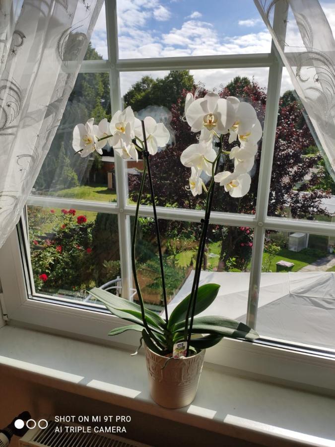 Blumen Apartment Hamburg Zewnętrze zdjęcie